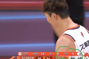 张镇麟后第二个3犯！王哲林抢板推人犯规  吃到个人本场第三犯配图